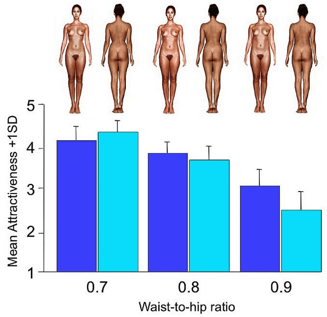 Waists Hips And The Sexy Hourglass Shape Psychology Today